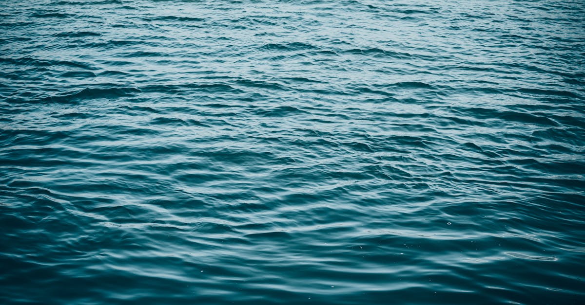 2025 Painting Trends: Embrace Coastal Tones to Refresh Your Home 2 explore the serene beauty of coastal tones, where soft hues of sea blues, sandy beiges, and sun-kissed corals come together to create a calming and refreshing aesthetic. perfect for home decor, fashion, and art inspiration.