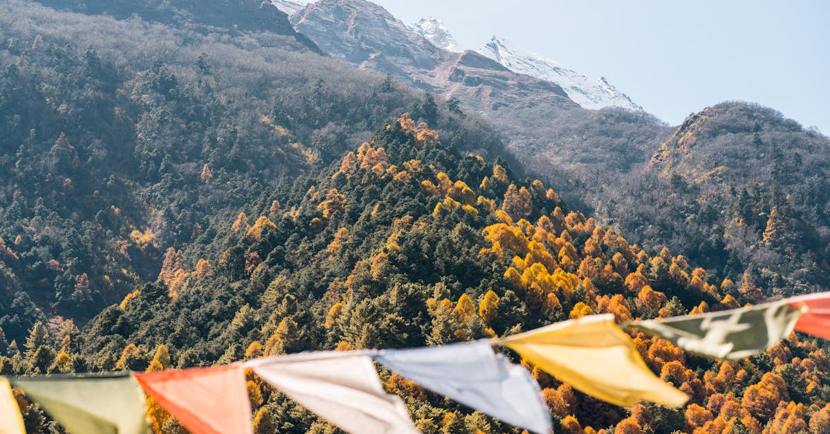 explore the rich tapestry of cultural symbols from around the world, uncovering their meanings and significance in various societies. dive into how these symbols shape identities, traditions, and beliefs, revealing the powerful stories behind them.