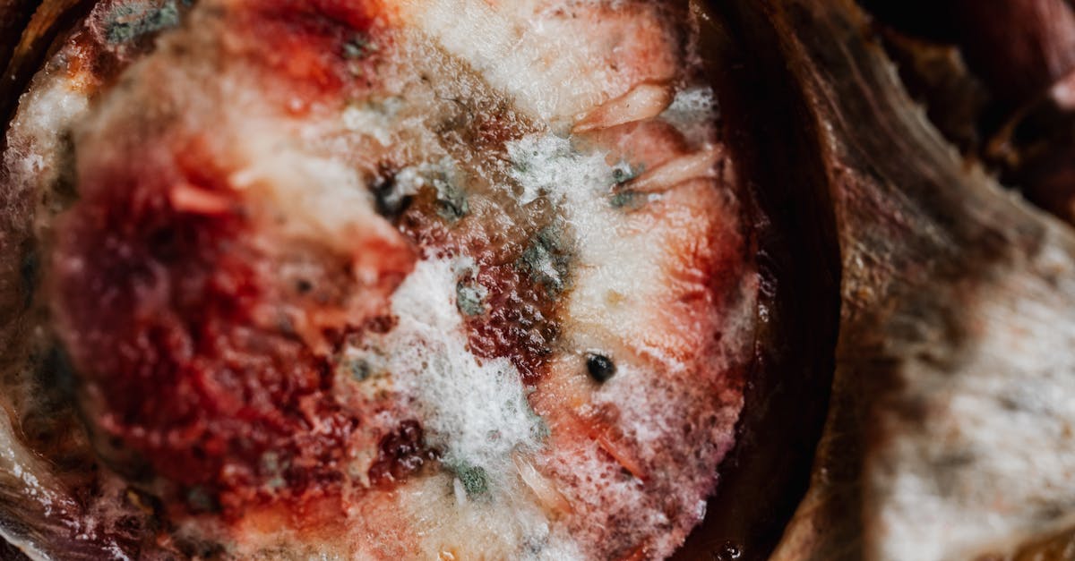 discover everything you need to know about mold, from types and growth conditions to prevention and removal techniques. stay informed and keep your environment healthy.