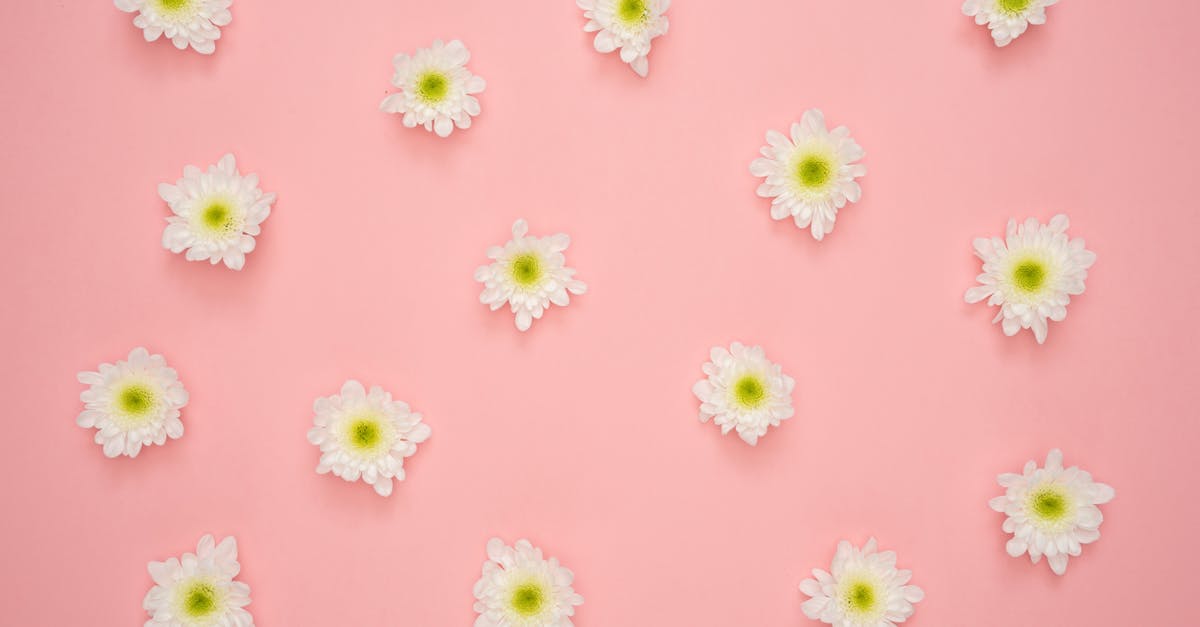 How to Mix and Match Patterns with Paint 1 explore a diverse collection of patterns that inspire creativity and innovation. discover unique designs for art, fashion, and home decor. unleash your imagination with our vast array of customizable patterns tailored to your style.