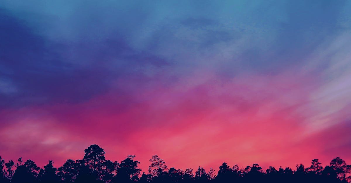 explore the vibrant world of color, its significance in art and design, and how it influences our emotions and perceptions. discover the science behind color theory and learn how to use color effectively in your creative projects.