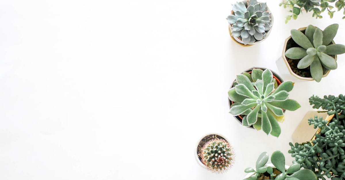 explore a world of inspiration with our stunning decor ideas. from modern to classic styles, discover tips and tricks to elevate your space and create a welcoming atmosphere that reflects your personal taste.