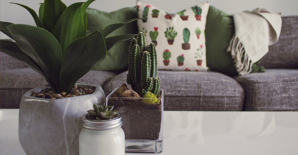 discover unique and stylish decor ideas to elevate your home. explore our collection of innovative designs, tips, and inspiration to create a beautiful and inviting atmosphere in every room.
