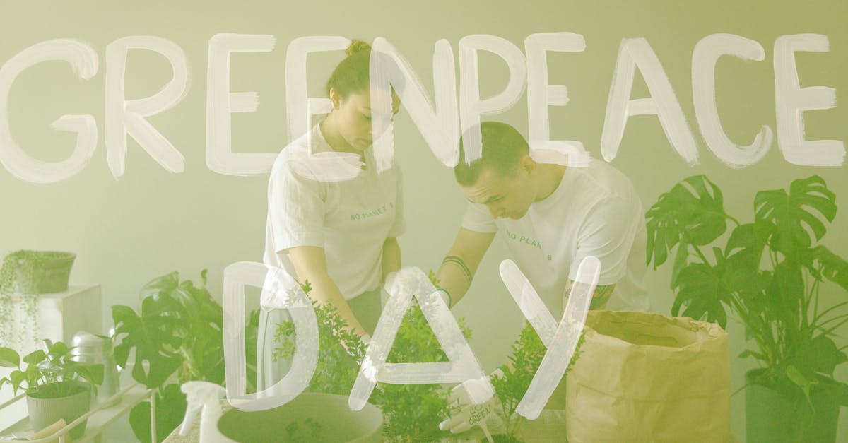 explore the transformative impact of the green revolution, a pivotal movement that revolutionized agriculture through innovative practices and technologies, leading to increased crop yields and food security across the globe.