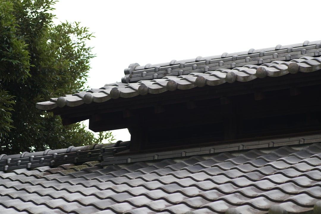 discover essential tips and strategies for preventative roof maintenance to extend your roof’s lifespan, avoid costly repairs, and keep your home protected year-round.