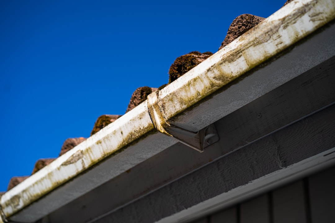 ensure the longevity and safety of your home with our expert roof maintenance tips. discover essential techniques and practices to keep your roof in top condition, preventing costly repairs and enhancing your property's curb appeal.