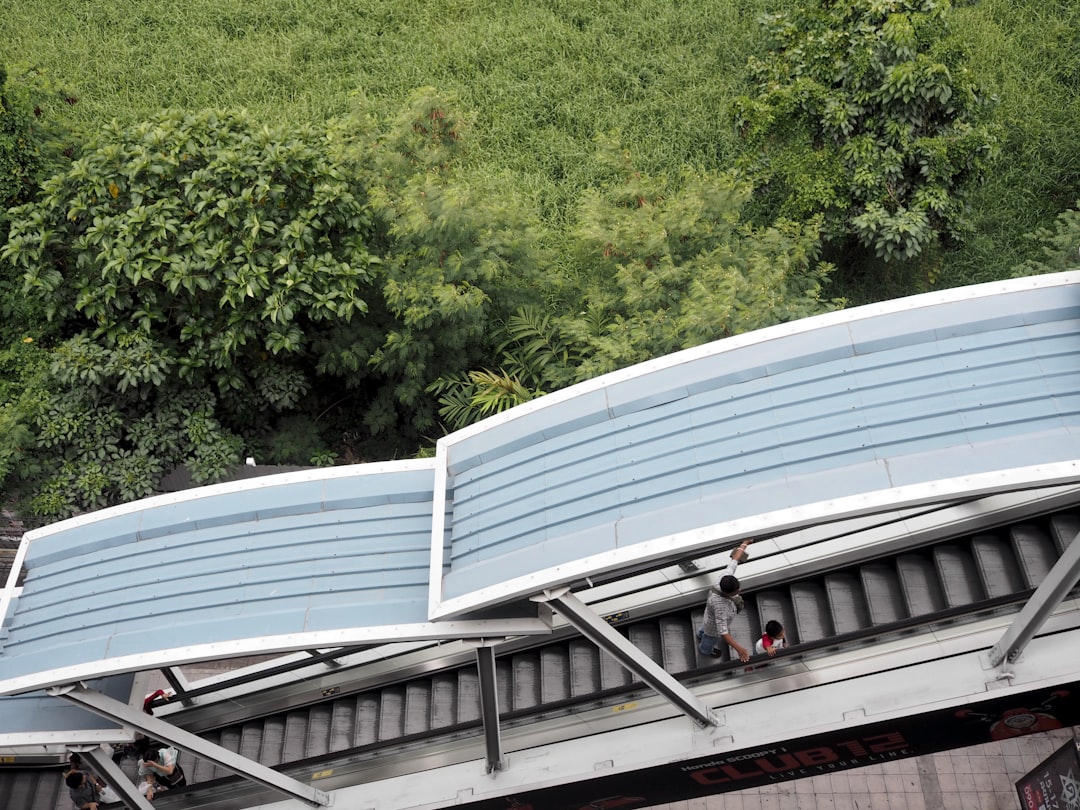 discover common roof problems, their causes, and practical solutions. learn how to identify roofing issues early to prevent costly repairs and extend your roof’s lifespan.