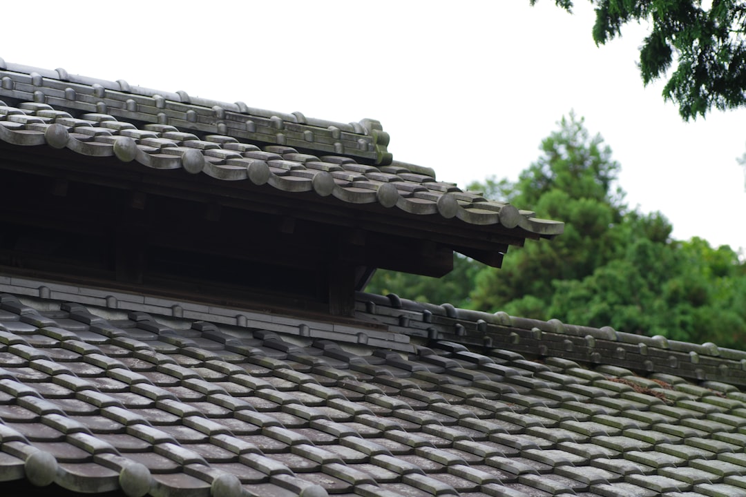 discover the different types of roofs for residential and commercial buildings. learn about materials, styles, benefits, and how to choose the right roof type for your needs.