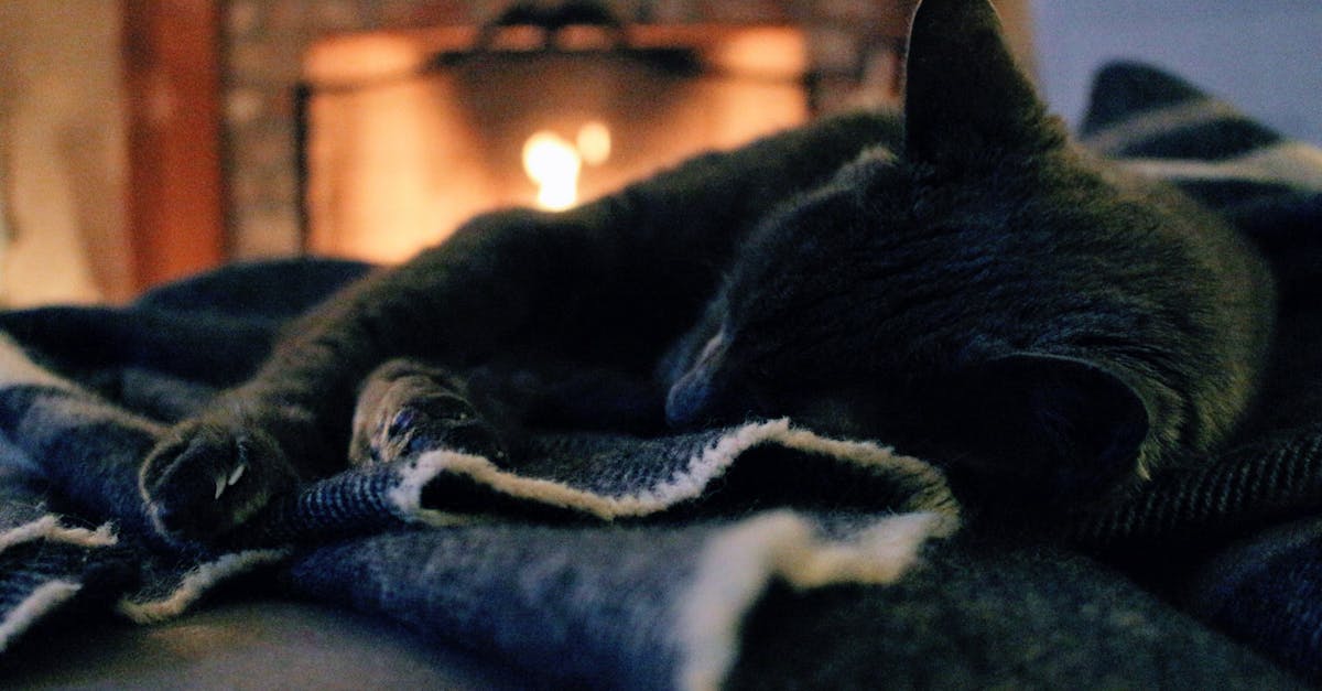 discover everything about fireplaces, from traditional wood-burning designs to modern electric options. find tips, inspiration, and guidance to choose and maintain the perfect fireplace for your home.